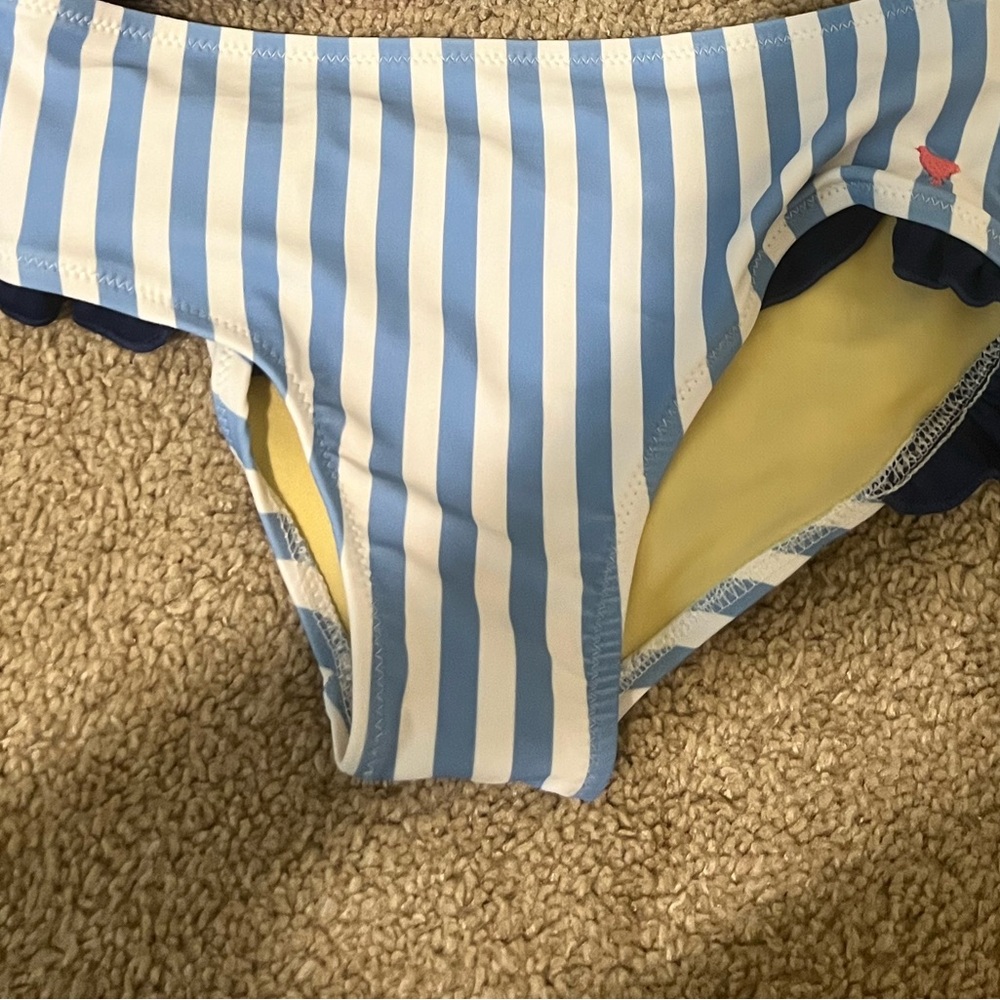 Pink Chicken Blue and White Bikini bottoms